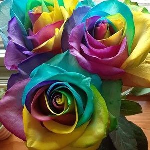 Meet your Posher, Sonia